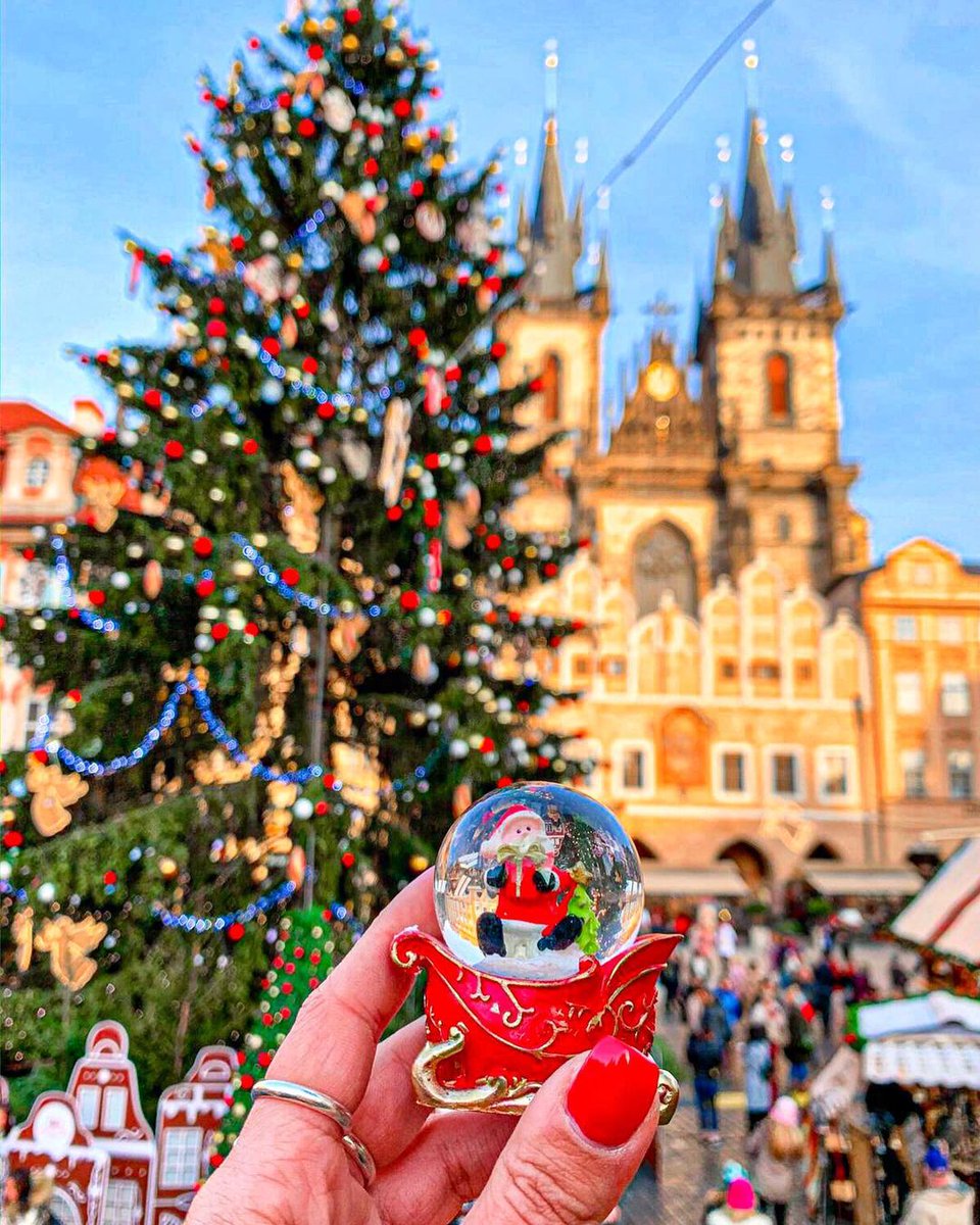 WorldofCruising's tweet photo. Prague at Christmas 🎄

Where's the best place you've visited during the festive season?

Comment below 👇

📸 @takemyhearteverywhere

#cruise #worldofcruising #cruisecompany #travel  #prauge #christmas #christmasmarkets https://t.co/nZUgDcwEyH
