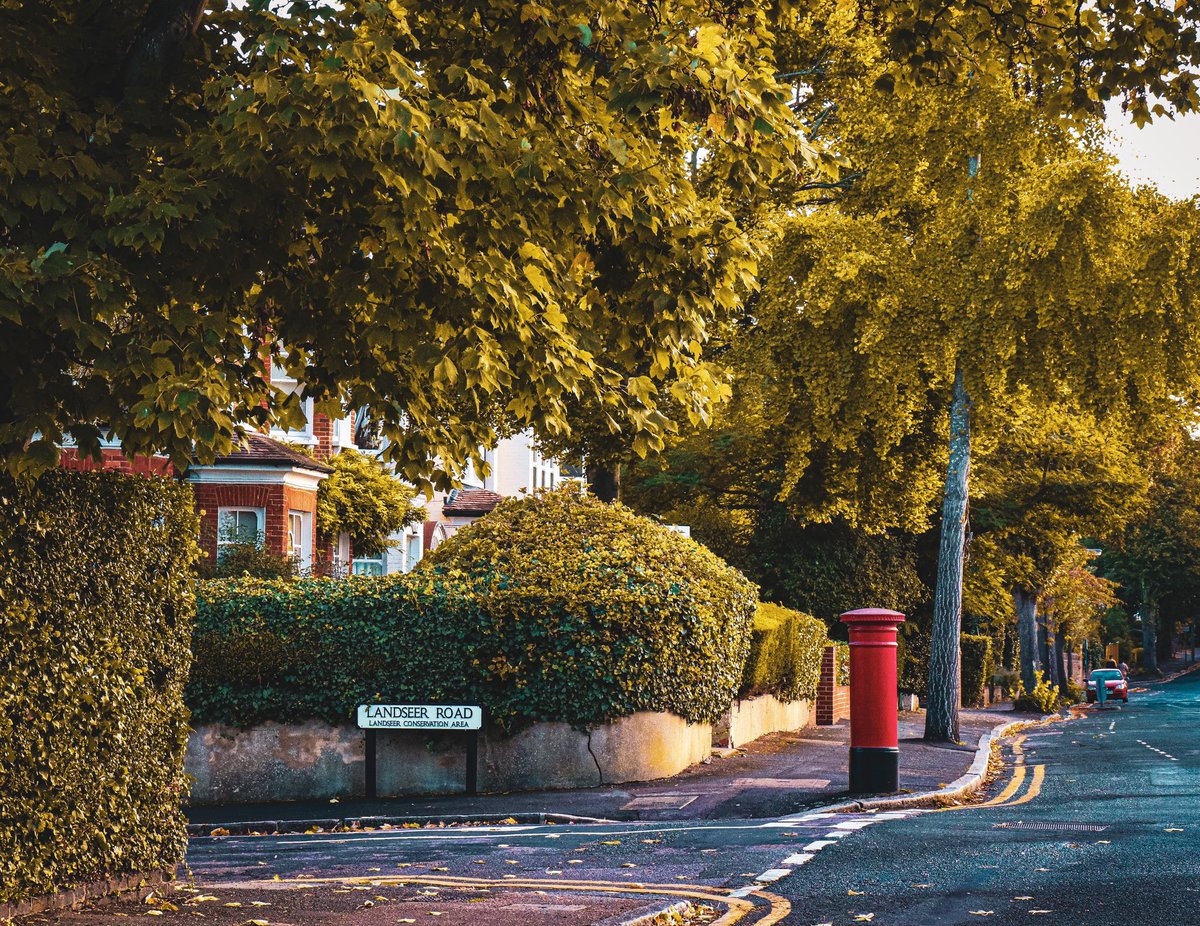 Hooray for the humble hedge A much overlooked street inhabitant is the hedge. It doesn't just add visual appeal, it also: 🥁Reduces noise 🚗Captures pollution 🐞Creates an environment for wildlife 🫧Reduces localised flooding And creates a sense of privacy 😎 What's not to love