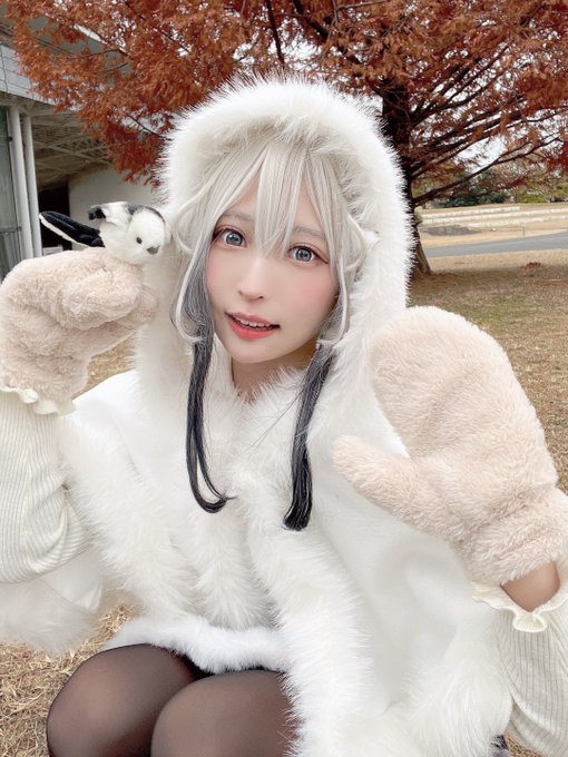 コスプレイヤー猫田あしゅのTwitter画像1