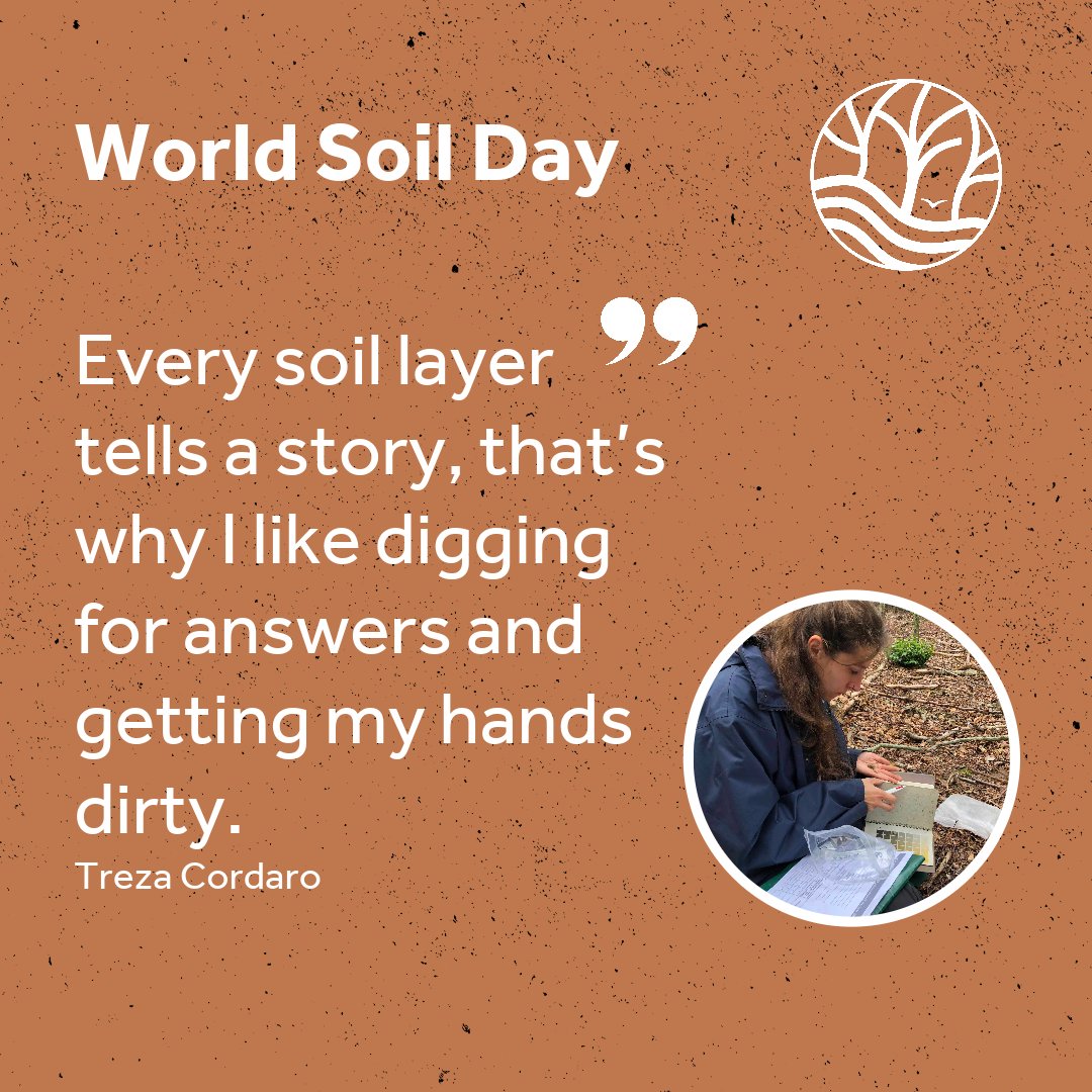 Happy #WorldSoilDay! In our SUPERB project, we have passionate #soil #scientists investigating what is below ground in the #forest to unravel the soil’s oldest secrets and contribute to #healthysoils