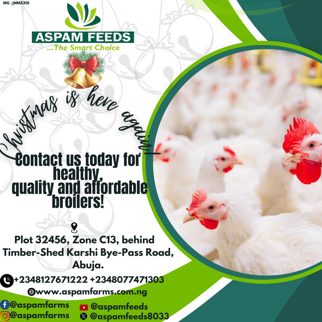 AspamFeeds8033's tweet photo. Christmas 🎄 is here again. Get your healthly And fresh broilers @ Aspam Farms today!
#animalfeeds #poultry #BBNaijaAIIStars #BBNaija #AbujaTwitterCommunity #Abuja #Nigeria #nigerianblog #chicken #RealEstate #farmers #Construction #supplychain #agriculture #broilers https://t.co/uvzat589BR