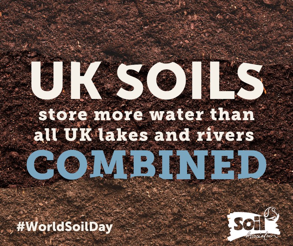 Happy #WorldSoilDay! 🪱   DYK, the UK's soils store around 130 TRILLION litres of water 💧   Healthy soil - and healthy wetlands - can help to prevent floods and mitigate the effects of drought.