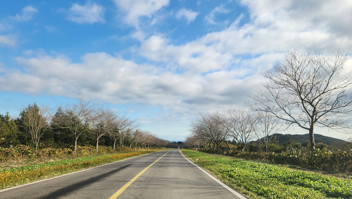 제주.포항 부커만남 (@jejumulsae) on Twitter photo 