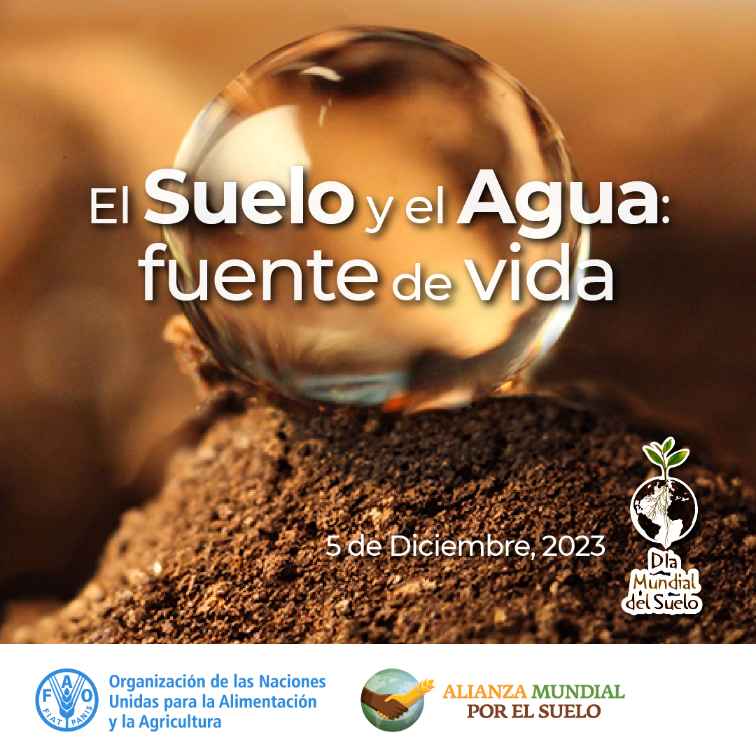 IMDEA Agua se une a la celebración del #DíaMundialdelSuelo 2023 y a su objetivo de crear conciencia sobre la importancia y la relación entre el suelo y el agua para lograr sistemas agroalimentarios sostenibles y resilientes.
#AcciónPorElSuelo #WorldSoilDay
c.madrid/rsqw01