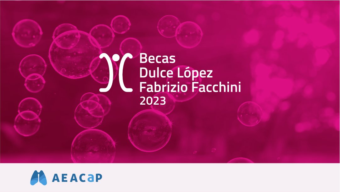 🔵🫁 ¿Quieres participar en la votación popular para elegir los proyectos ganadores de las #BecasInvestigaciónLópezFacchini?

🗓️ Hasta el 18 de diciembre

👉 ¡Anímate, tu opinión es importante!
 
ℹ️ Vota aquí 👉 bit.ly/AEACaP-Votacio…