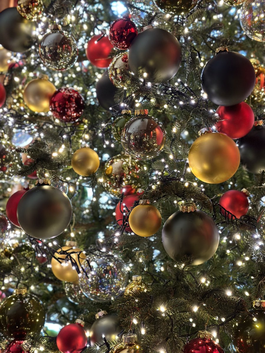 Pull Christmas decorations out: check ✔️

#DCmoments