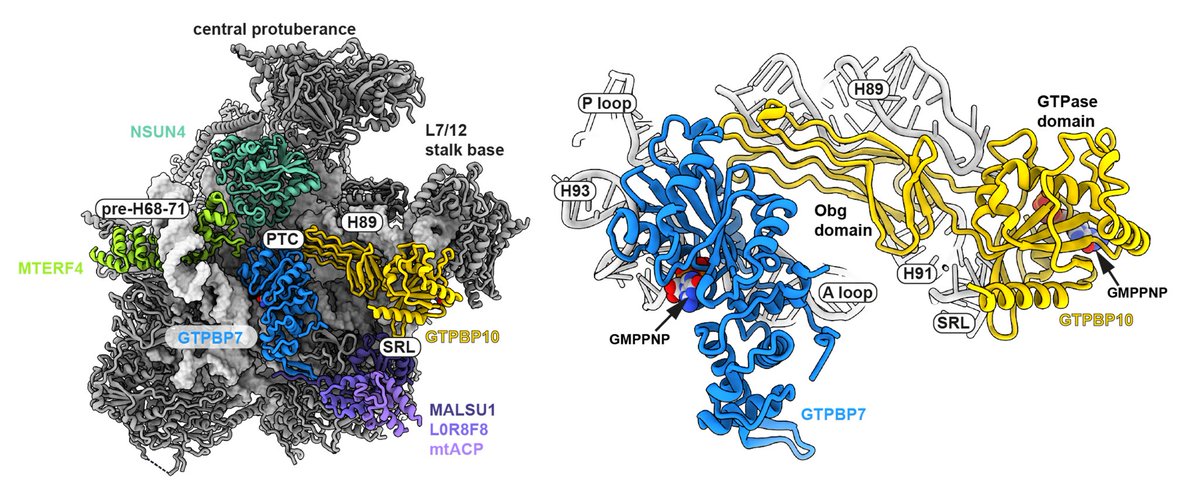 Eva Kummer tweet media
