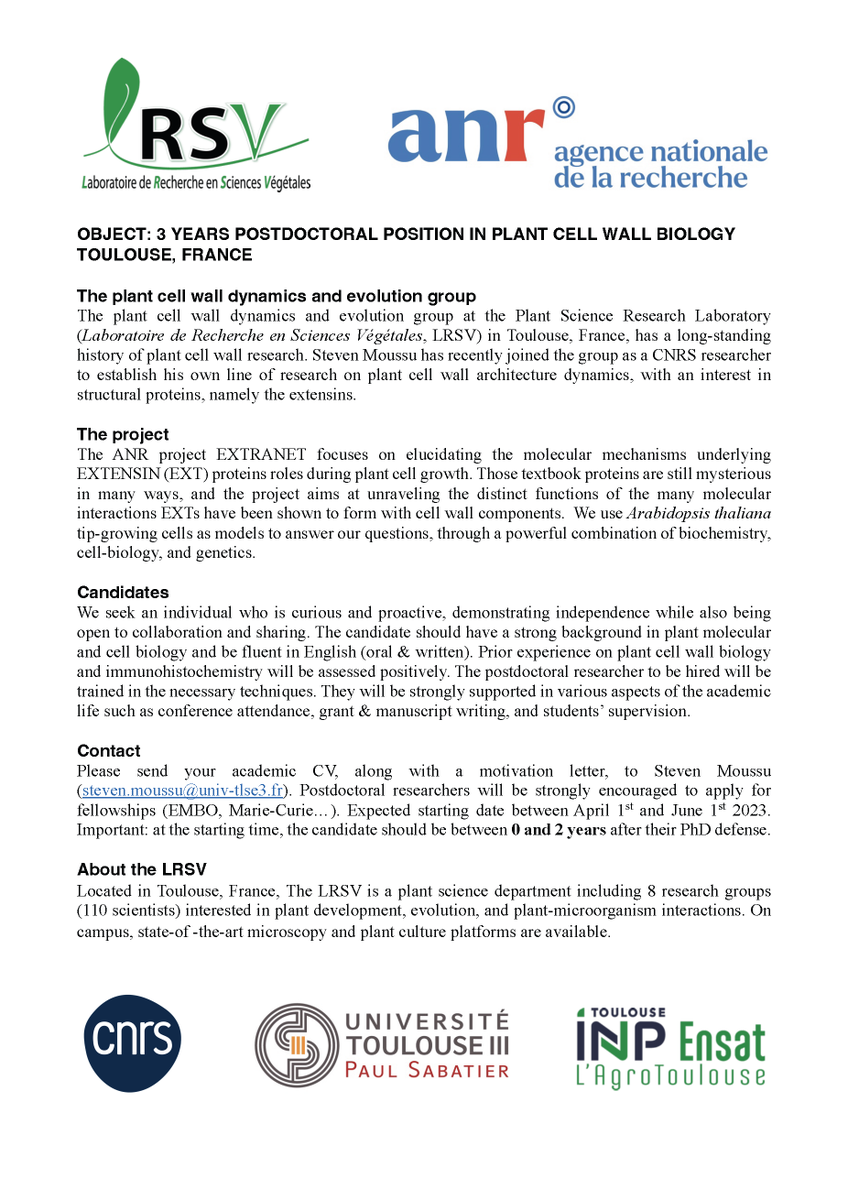 We are recuiting! Fully funded 3 years postdoctoral position @LRSV_Toulouse to dig into extensin biology! Come join us ☀️🧱🌱