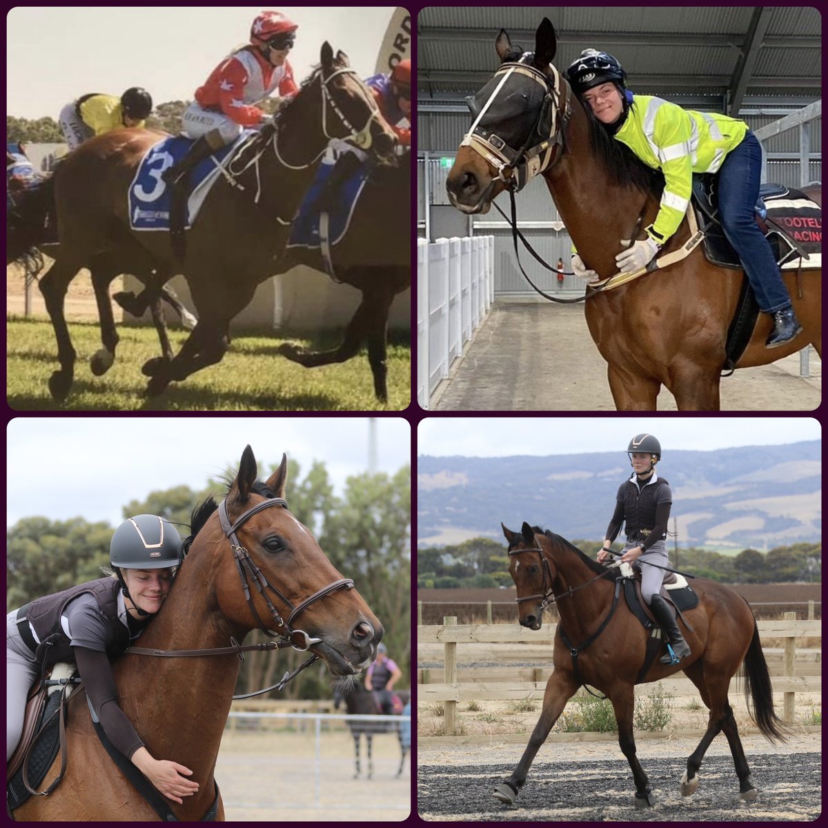 Impulse Diavolo (Charlie) had his first ride off the track since retiring from racing in June at our local Riding Club on Saturday where he got to show off some of his fancy moves💁🏼‍♀️Looking forward to sharing just as much success with this horse off the track!💕🙏🏻 #ThoroughcareSA