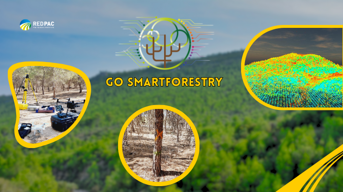 🌳 La <a href="/redPAC_/">Red PAC</a> ha dedicado un artículo al GO SMARTFORESTRY, por su proyecto de innovación en el que desarrolla una plataforma digital para aprovechar los productos forestales. Puedes leer el artículo completo aquí. redpac.es/noticia/el-gru… <a href="/gosmartforestry/">Grupo Operativo SMARTFORESTRY</a> <a href="/EIPAGRI_SP/">EIP-AGRI Support Facility</a> <a href="/RM_Agua/">Consejería de Agua, Agricultura, Ganadería y Pesca</a>