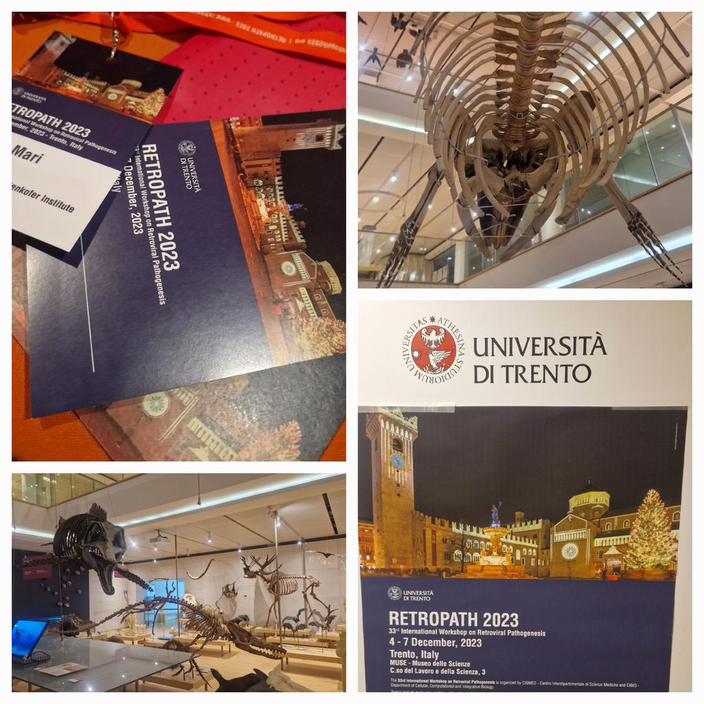 Baldauf Lab (@baldauf_lab) on Twitter photo What a great kick-off <a href="/Retro_Path/">International Workshop on Retroviral Pathogenesis</a> in <a href="/MUSE_Trento/">MUSE_Museum</a> 🤩, today with more insights into "pathogenesis, latency and persistence" and "endogenous retroviruses" #Retropath What a great kick-off <a href="/Retro_Path/">International Workshop on Retroviral Pathogenesis</a> in <a href="/MUSE_Trento/">MUSE_Museum</a> 🤩, today with more insights into "pathogenesis, latency and persistence" and "endogenous retroviruses" #Retropath