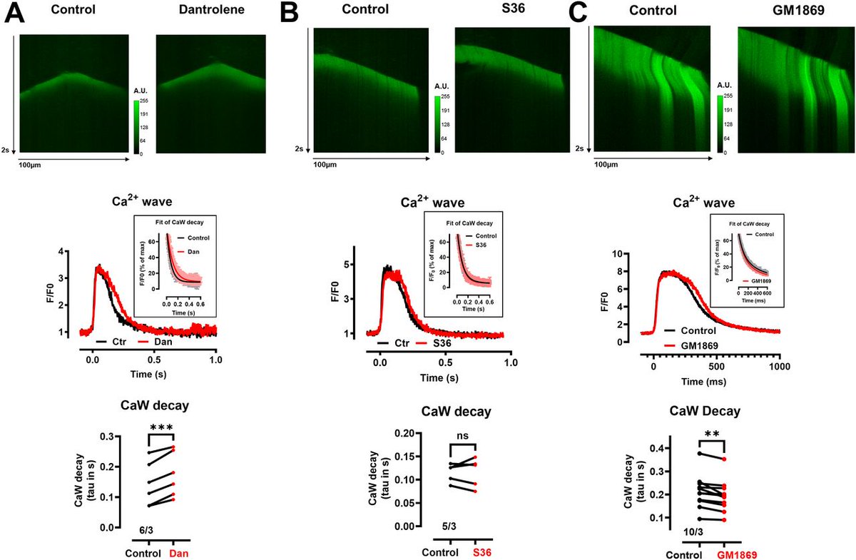 LifeScienceAlliance tweet media