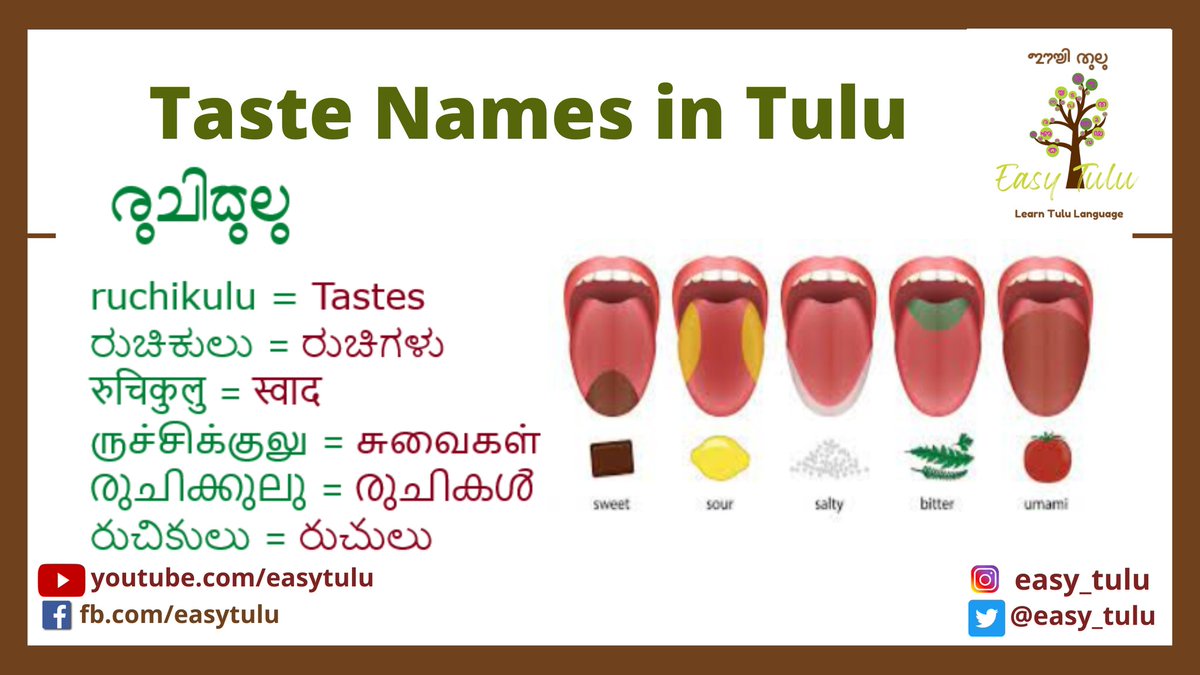 Learn Names of Tastes in Tulu through English, Kannada, Hindi, Tamil, Malayalam and Telugu. 
Click on youtu.be/WgHyrQOZhm4
Or visit video.learntulu.com

#learntulu #easytulu #tululessons #tuluscript #tuluwords #tululipi #tuluto8thschedule #TuluOfficialinKA_KL #tuluvideos
