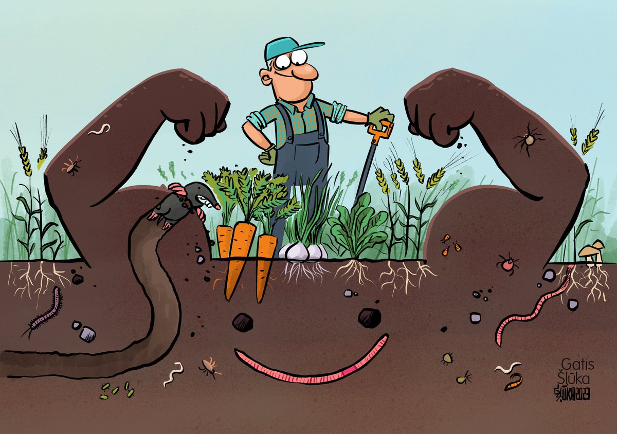 Today is #WorldSoilDay 

To #SaveSoil, our proposed Soil Monitoring Law will:
🌱create a monitoring framework for #EUSoils
🌱make sustainable soil management the norm
🌱request 🇪🇺countries to identify & investigate potentially contaminated sites

More 👉 europa.eu/!BFpxGK