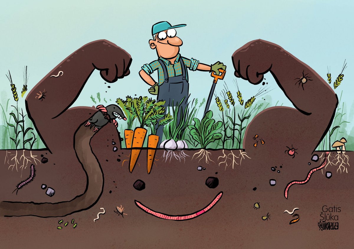 Today is #WorldSoilDay 

To #SaveSoil, our proposed Soil Monitoring Law will:
🌱create a monitoring framework for #EUSoils
🌱make sustainable soil management the norm
🌱request 🇪🇺countries to identify &amp; investigate potentially contaminated sites

More 👉 europa.eu/!BFpxGK