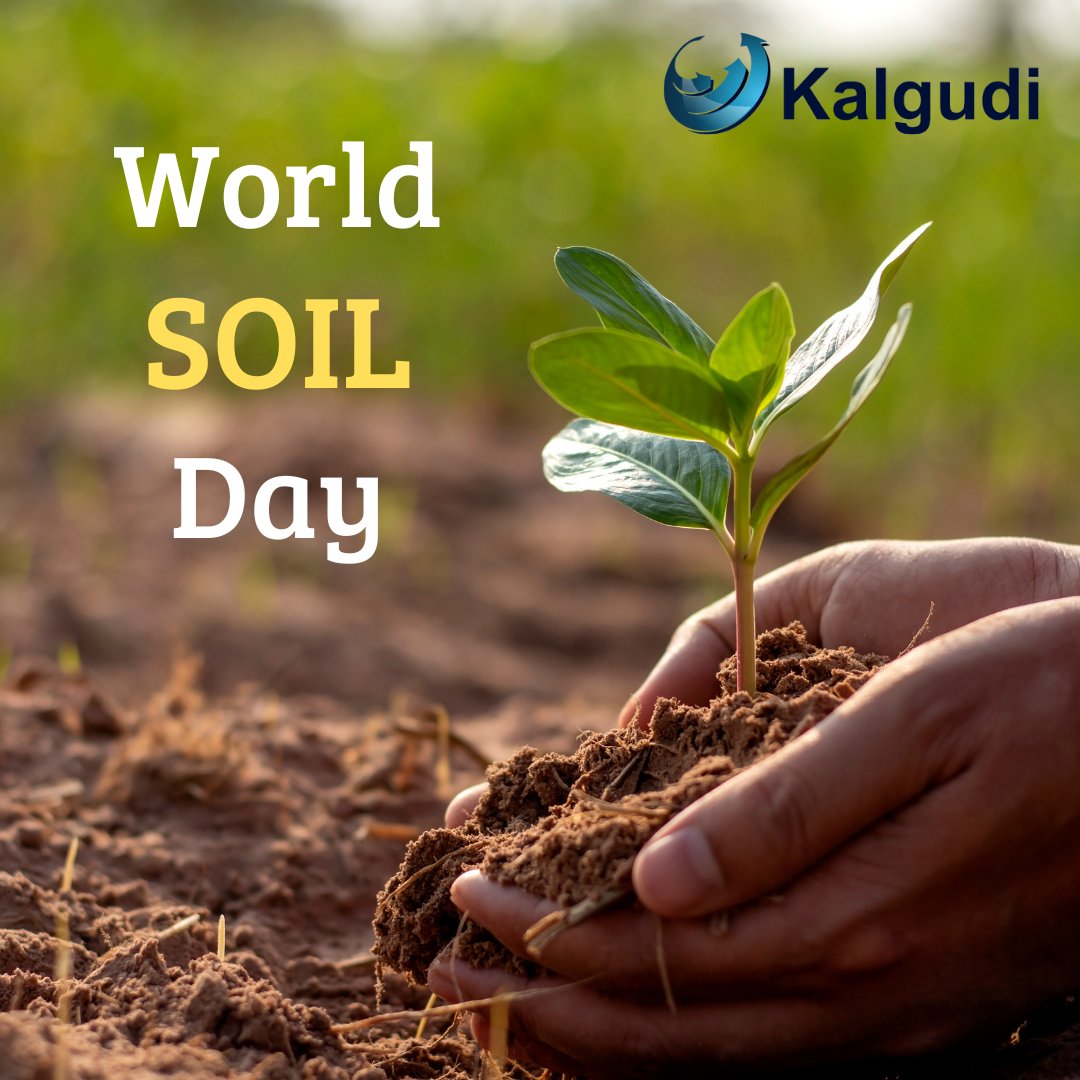 "Digging into the importance of healthy soil on #WorldSoilDay 🌱🌍"