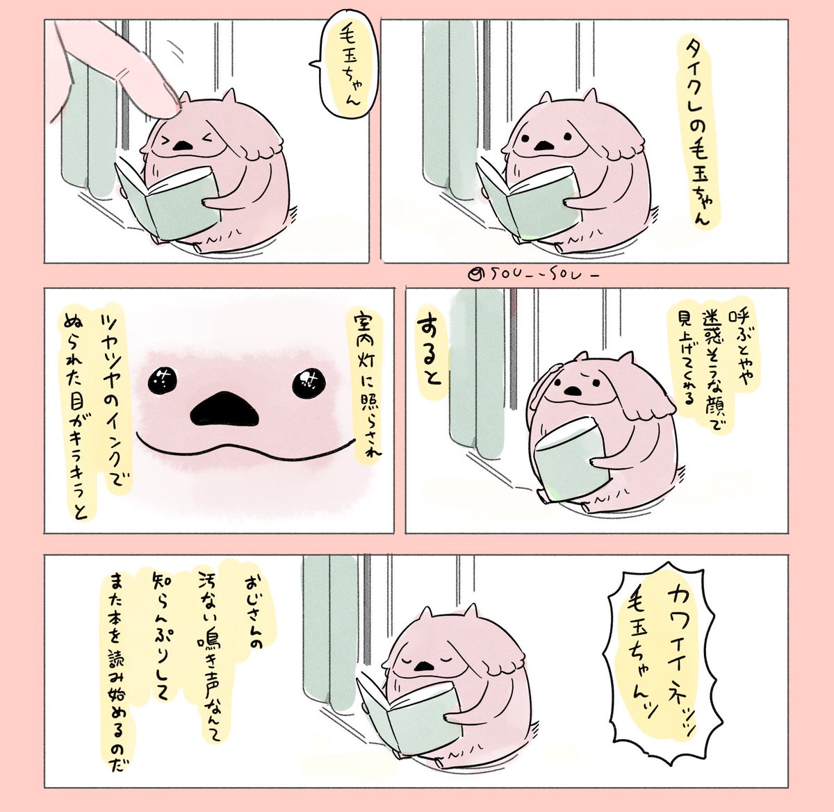 プライズ毛玉ちゃん夢です 