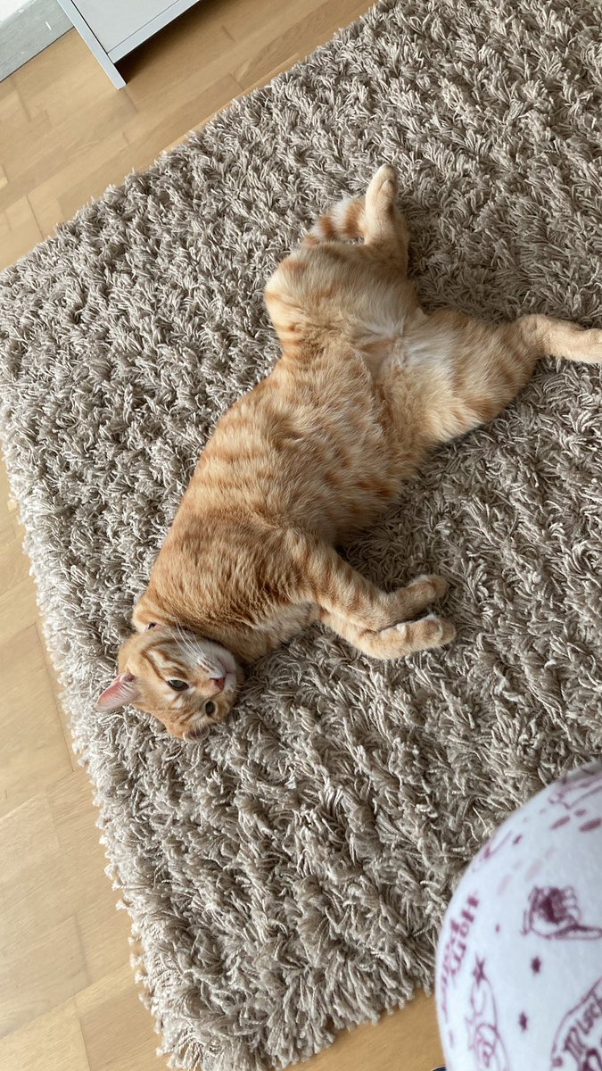 Bazen bana gelir gider seni dert etmeler