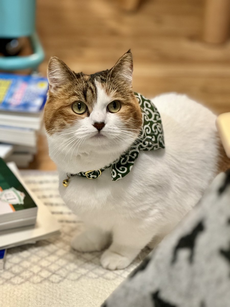 meme⭐︎プロフ確認☆　1011 ふー (@7egTXS0GKWh3wGP) / Posts / X