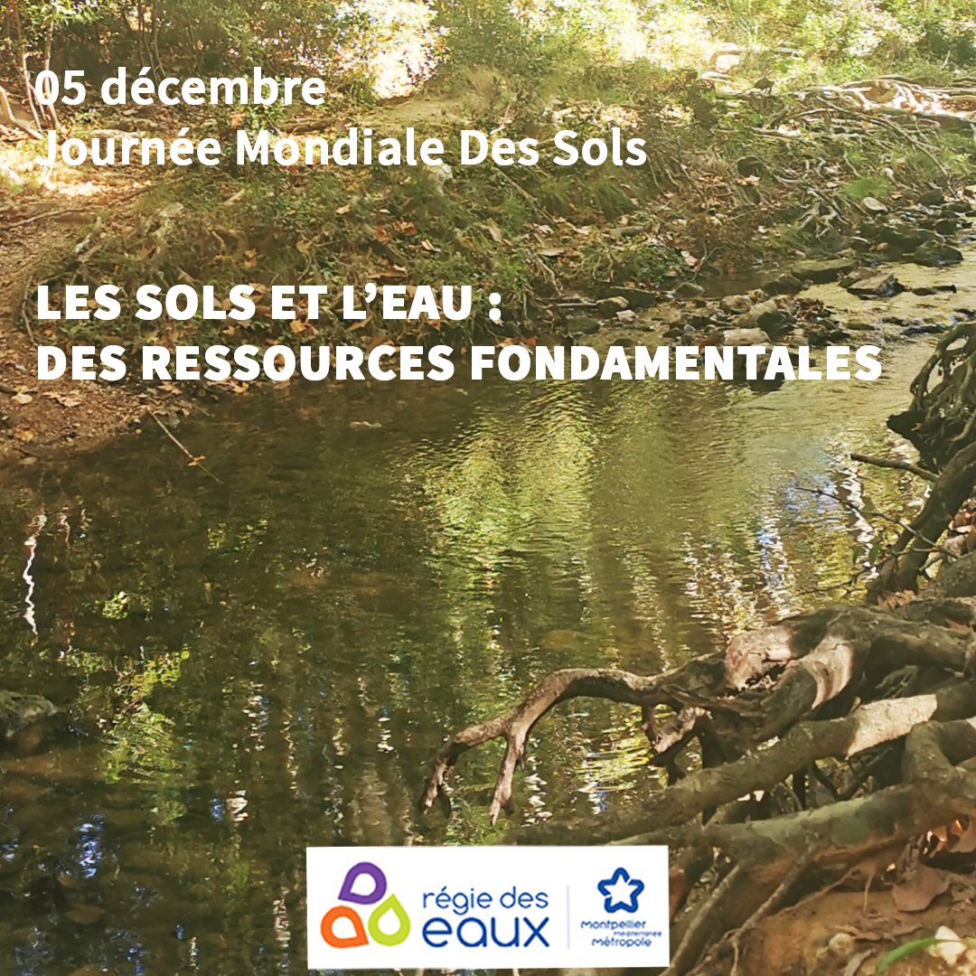 Régie des eaux 3M tweet media