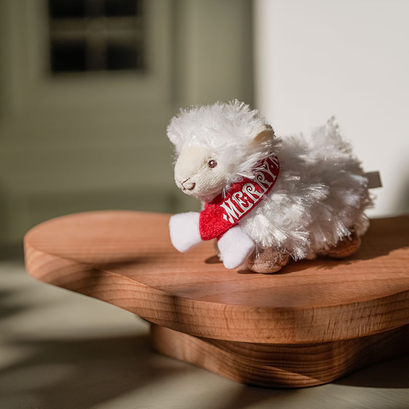 MERRY ROCK PARADE オフィシャルグッズの事前販売(当日会場受取)が受付