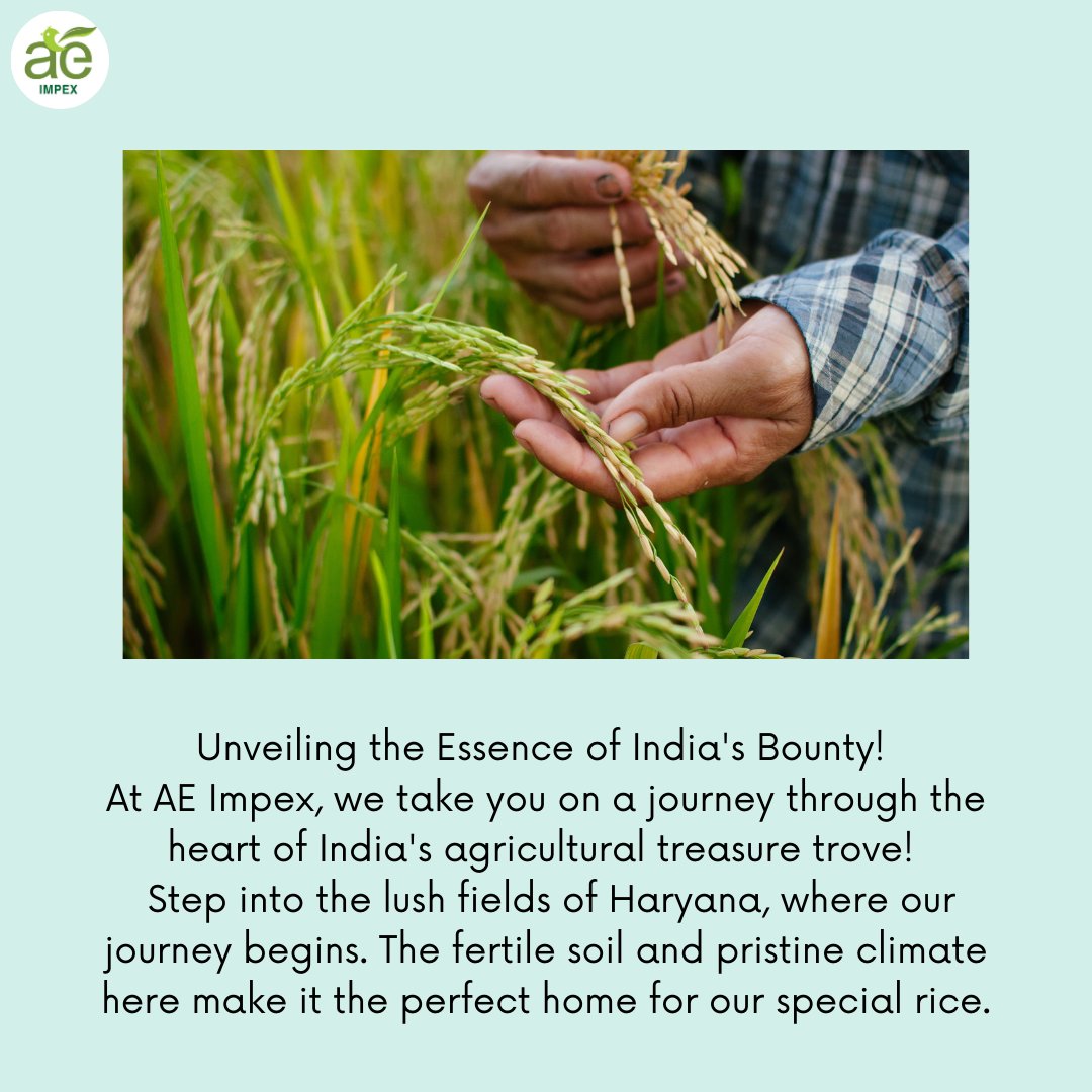 Unlocking India's Bounty: Where Tradition Meets Innovation. 🌾✨ 

 #AEImpex #RawMaterials
#IndianBounty #SustainableSourcing
#FarmToTable #CulinaryAdventures
#TasteOfIndia #EcoFriendlyPackaging
#LocalFarmers #QualityMatters #AE
#AmazingEnterprises