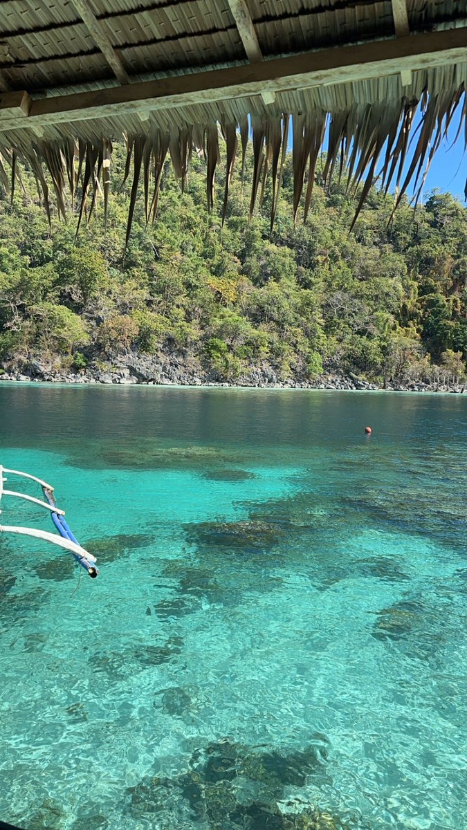 Parmz-Afc tweet media