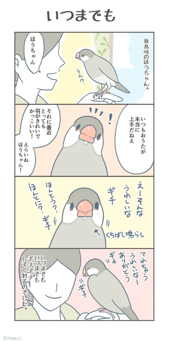 いつまでも。 ほうちゃん、褒めるとずーっと噛みしめていて可愛らしいです。  #漫画がよめるハッシュタグ #Buncho #文鳥