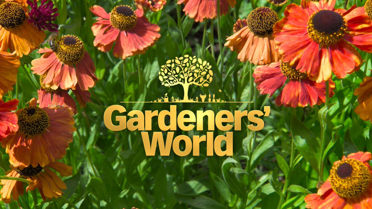 We have a number of research vacancies coming up. If you have a passion for plants, a good nose for a story & fancy working on next year's series of Gardeners' World, we'd love to hear from you 🙂 🌹 🌿 Find out more at: spkl.io/60104SgSM