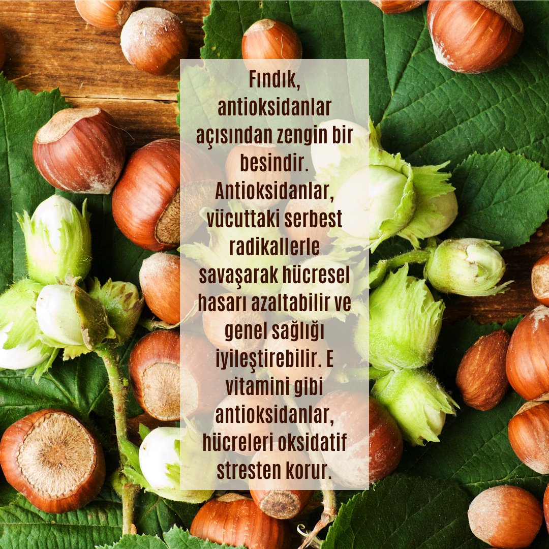 yesilsokakcom's tweet photo. Fındığın faydaları nelerdir ?
#fındık #antioksidan #evitamini https://t.co/9U4kXcmJfT