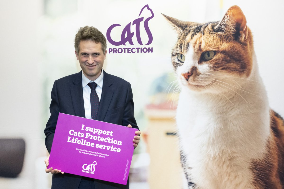 As a cat owner myself, I am committed to the protection and welfare of our feline friends. Therefore, I was pleased to support @CatsProtection Lifeline Service in Parliament.