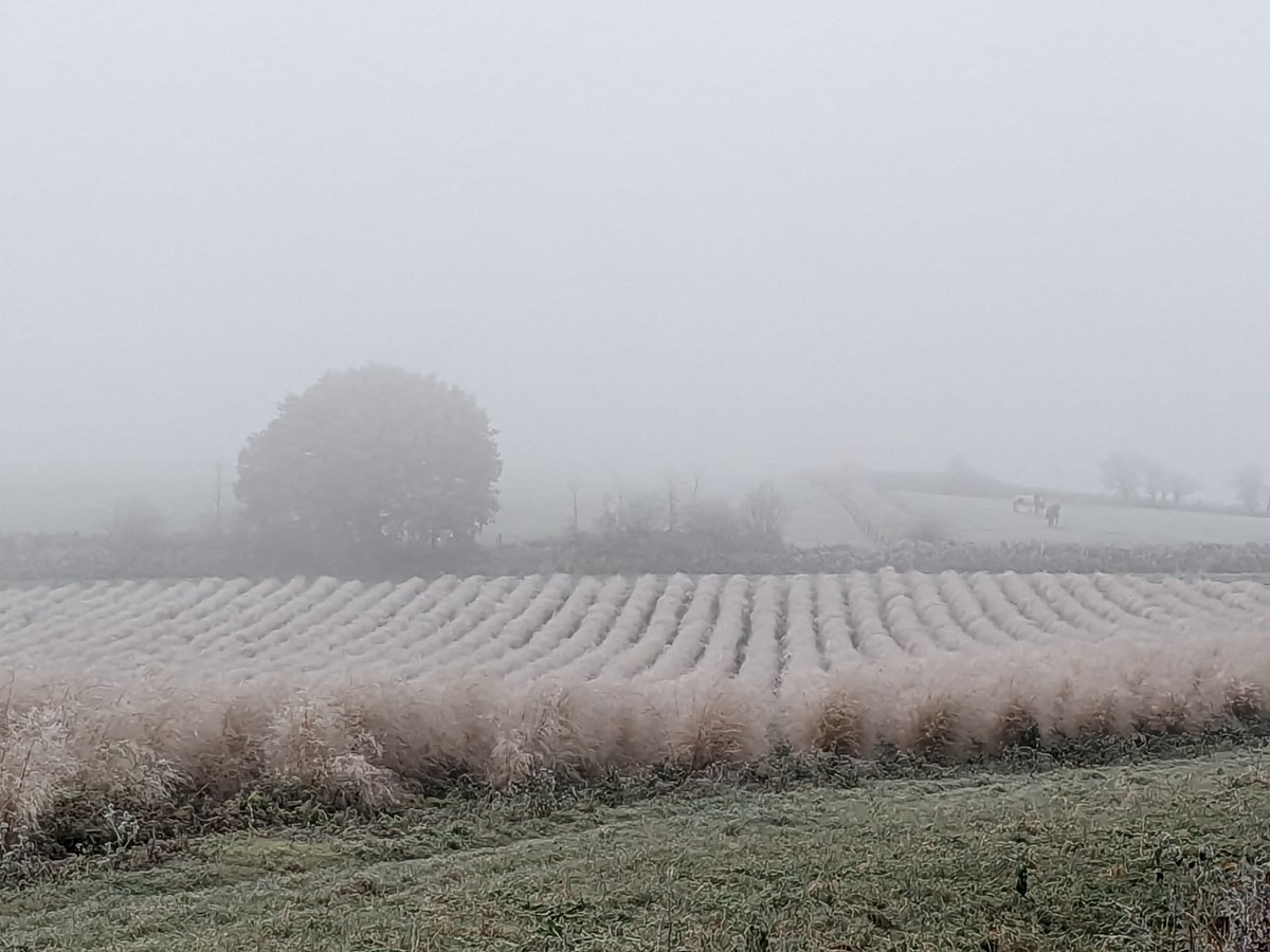 Phil Weber tweet media