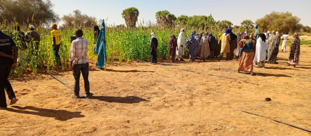 Riyazaddin1's tweet photo. Open day conducted in the commune Gounzoureye of Gao region in Mali for farmers to show the performance of climate smart crop technologies of pearl millet and groundnut. @hughes_jackie @wfp @ICRISAT https://t.co/pOkXiWNcKf