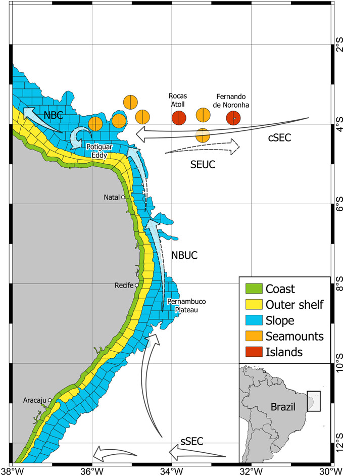 EcographyJourna's tweet image. Identifying community assembling zones and connectivity pathways in the Tropical Southwestern Atlantic Ocean onlinelibrary.wiley.com/doi/10.1111/ec… #dispersal #spatial_distribution #species_sorting @NordicOikos @WileyEcolEvol