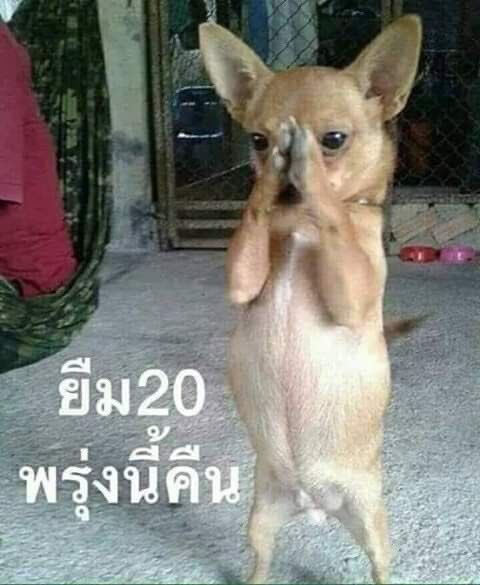 yeongwon_oc's tweet photo. https://t.co/rqNW5r6GWU