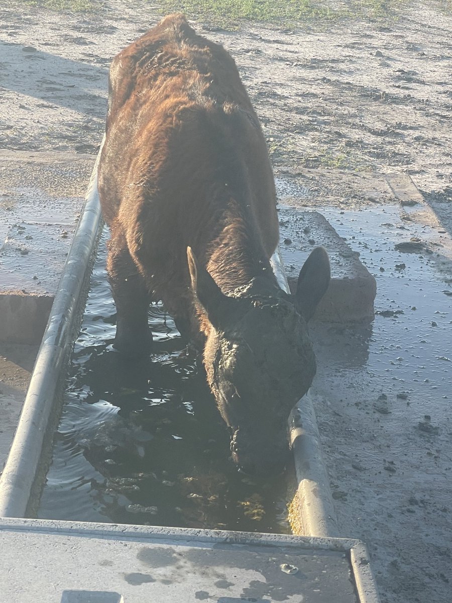 💧Ed Fessey tweet media