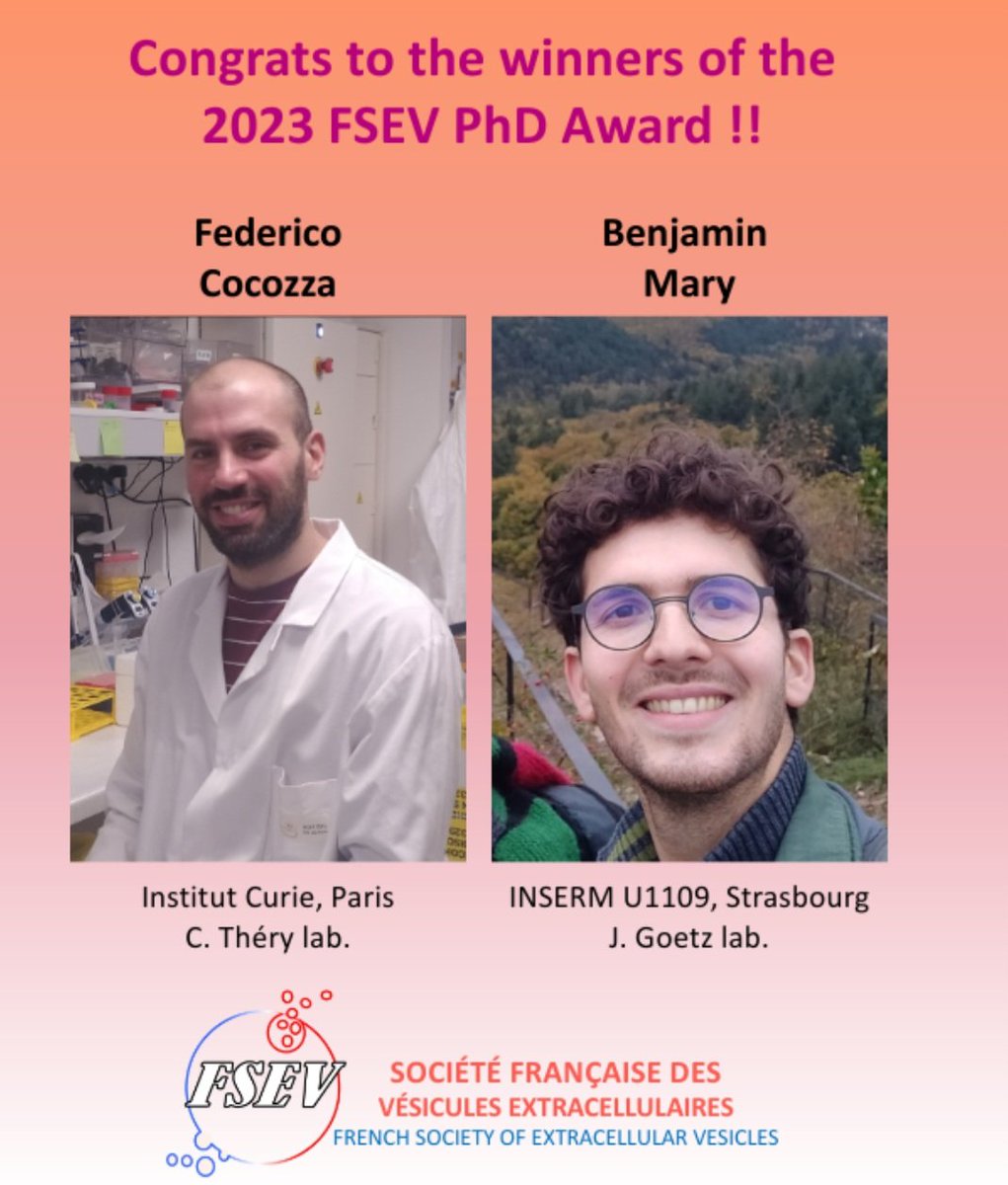 FrenchSocEVs tweet media