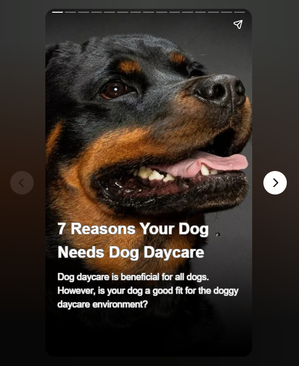 7 Reasons Your Dog Needs Dog Daycare

Check out if your dog meets all the criterias to be a part of the dog daycare environment
webstories.today/watch/dog-need…

#dogs