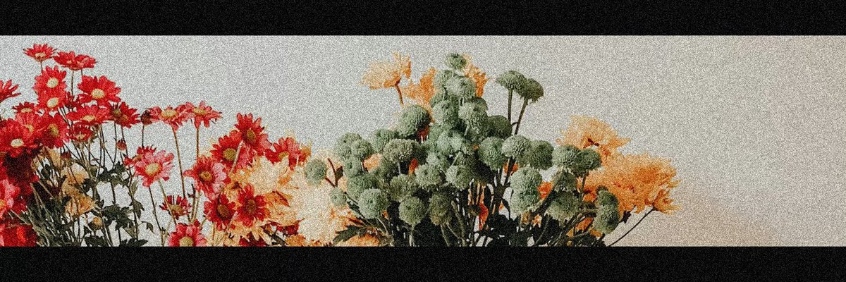 401__104's tweet photo. 花束イメー��� #フリーヘッダー
リクエストありがとうございました（🖤） https://t.co/6L0lvMDcy1