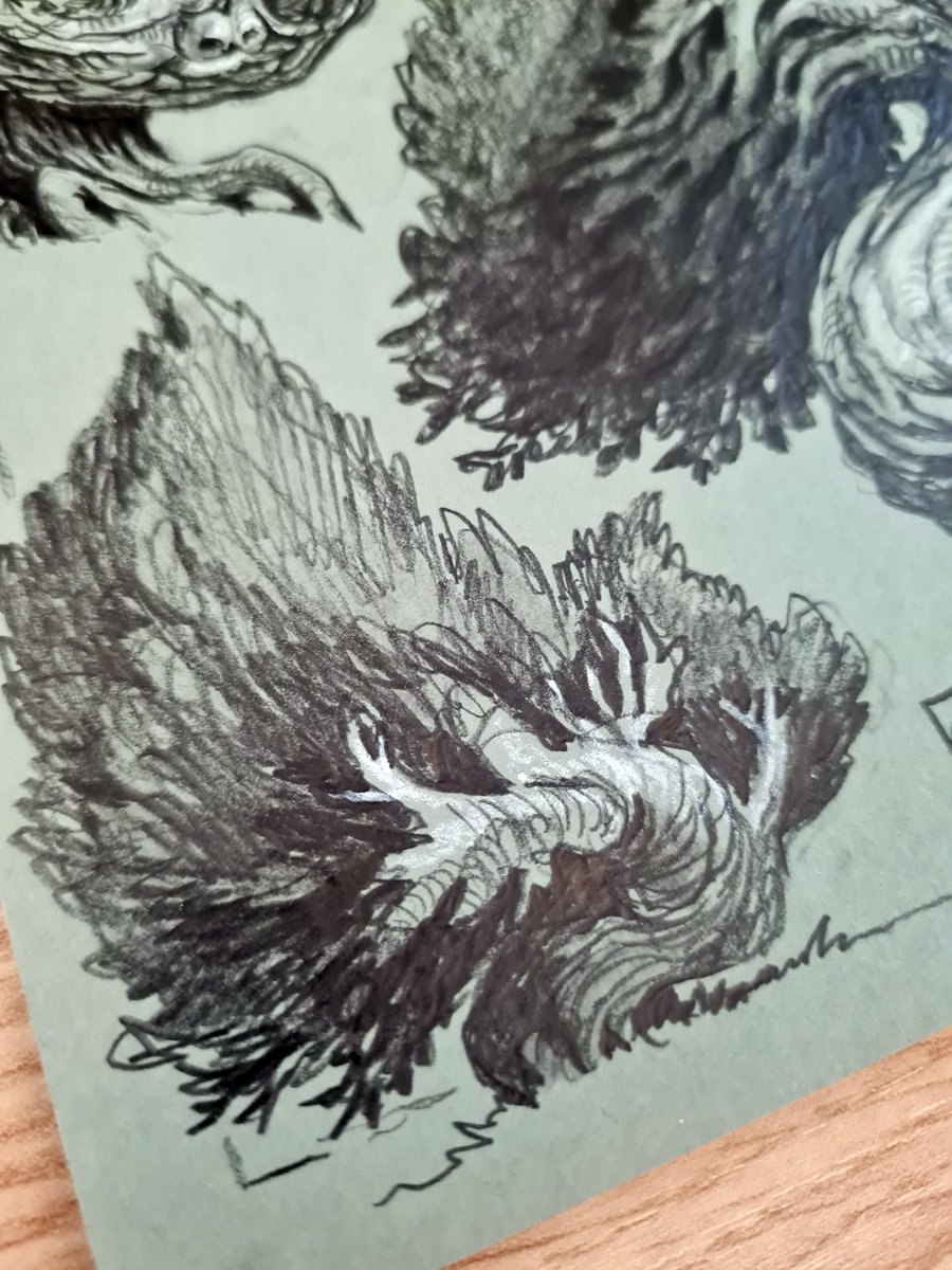 NicolasWeis's tweet photo. #Treecember
Trying new-ish things on colored paper, more graphite than usual and a little bit of greasy white pencil.
Onto the next drawing !
#treecember #pencil #colored #paper #traditional #trees #drawing https://t.co/RRt6RVHmEK