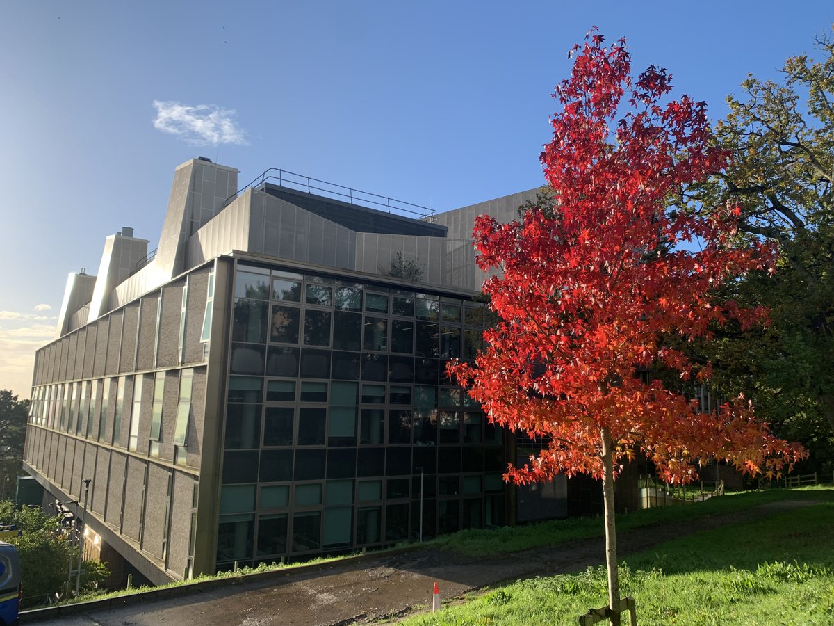 LSI Exeter (@lsi_exeter) on Twitter photo Want to be a part of an inspiring and thriving research community? 3 open rank positions from Senior Lecturer to full Professor in Living Systems are available <a href="/LSI_Exeter/">LSI Exeter</a> <a href="/UniofExeter/">University of Exeter</a>
Find more information here: tinyurl.com/4rk2y4wu Want to be a part of an inspiring and thriving research community? 3 open rank positions from Senior Lecturer to full Professor in Living Systems are available <a href="/LSI_Exeter/">LSI Exeter</a> <a href="/UniofExeter/">University of Exeter</a>
Find more information here: tinyurl.com/4rk2y4wu