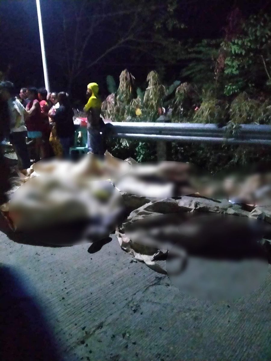 manilabulletin's tweet photo. TRIGGER WARNING

BREAKING: At least 25 people are reported dead after a bus fell off a cliff road in Hamtic town, Antique on Tuesday, Dec. 5.

The 25 were part of more than 50 onboard the Ceres bus when the bus overshot the barrier of a zigzag cliff road in Igbucagay village past 4 p.m. of December 5. | via Tara Yap