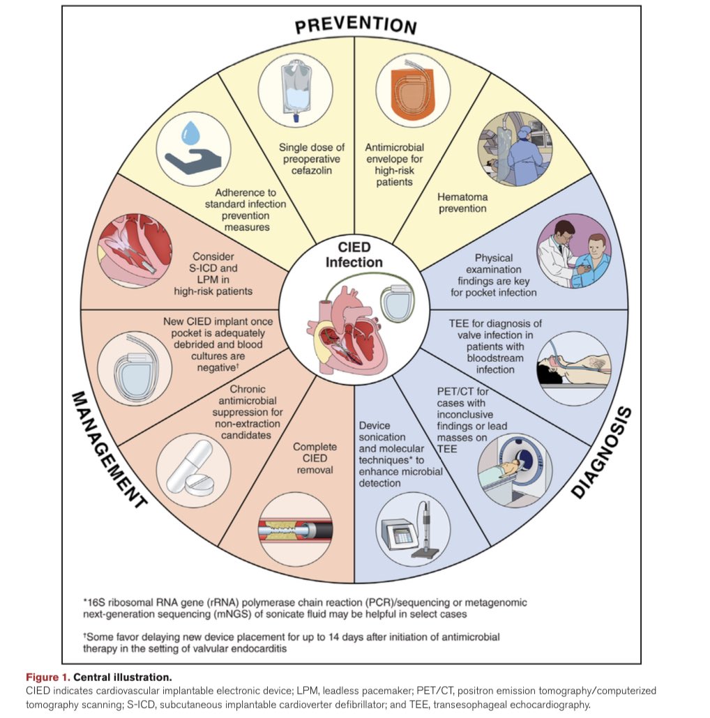 TakaMatsuo_ID's tweet image. 【Update on Cardiovascular Implantable Electronic Device Infections and Their Prevention, Diagnosis, and Management】@CircAHA Dec 4, 2023

👉Guideline has been updated!
👉User friendly beautiful Table/Figure!

#IDFellow #IDMedEd #CIED 
@RizwanSohailMD

ahajournals.org/doi/abs/10.116…