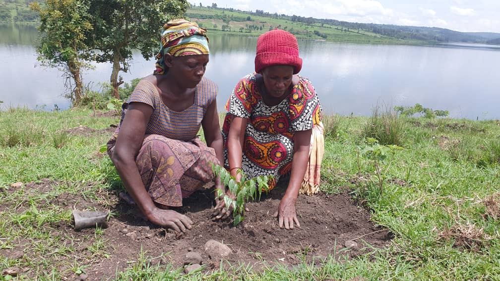 EnabelinRwanda's tweet image. #OrangeTheWorld
Through Enabel's Forestry projects (#TREPA, #COMBIO &amp;amp; #DeSIRA), men&amp;amp;women are given equal opportunities to participate in project implementation activities. In particular, women&amp;amp;girls are encouraged to take the lead in organisation&amp;amp; leadership of community groups.