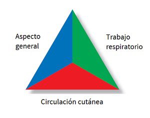 ¿Qué es el triángulo de evaluación pediátrica? Es una herramienta imprescindible, sencilla y rápida para evaluar el estado fisiológico global del paciente pediátrico y detectar aquél que necesita asistencia inmediata. VER y OIR ( ⛔️ Tocar). GVAsagunt #urgenciaspediatria #TEP