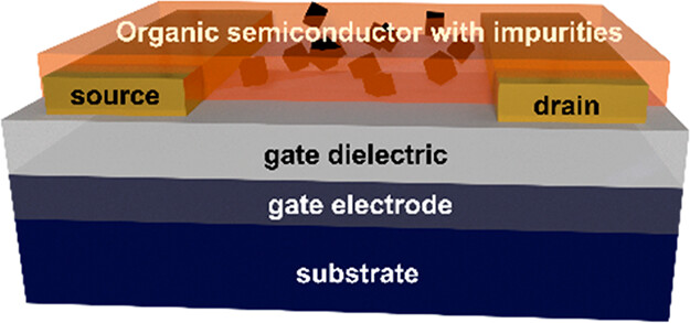 ChemMater's tweet photo. New @NSF #DMREF research shows how to design #organic devices that are more tolerant to defects, paving the way for low-cost, high-performance electronics. 

By @OanaJurchescu @Loo_Group et al. @UKCAER

Read the paper 👉 https://t.co/1U69oya2bw https://t.co/BnerbUw4ng