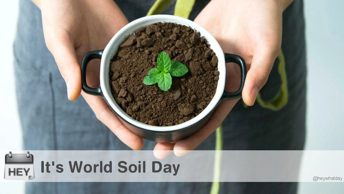 It's World Soil Day! 
#WorldSoilDay #SoilDay #WSD2023