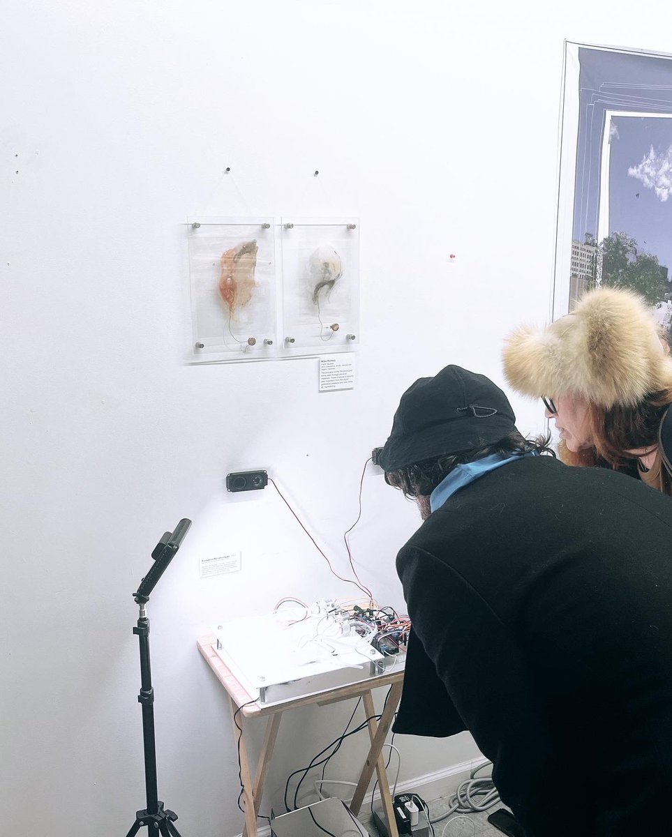 Was excited to show at #digiana last weekend. My installation is now on private view until Dec 22nd. DM for details