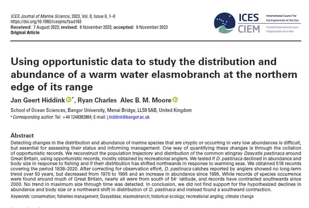 With @ryancshark and @AlecBMMoore we reconstructed the population trajectory and distribution of the common stingray Dasyatis pastinaca around Great Britain, using opportunistic records, mostly obtained by recreational anglers. academic.oup.com/icesjms/advanc…