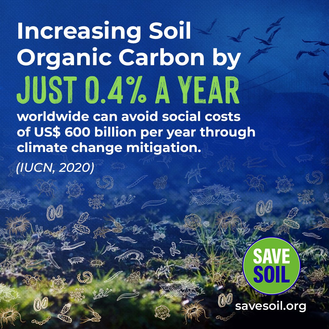UmaKolisetty's tweet photo. Carbon rich soil retains more water, even a 1% rise in soil organic matter retains additional 20,000 extra gallons per acre. For water security let’s save soil . #SoilForClimateAction https://t.co/Ve64aYpn16
